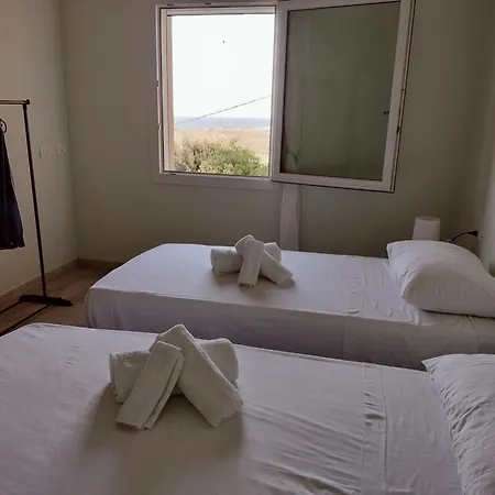Domo Deledda Apartment